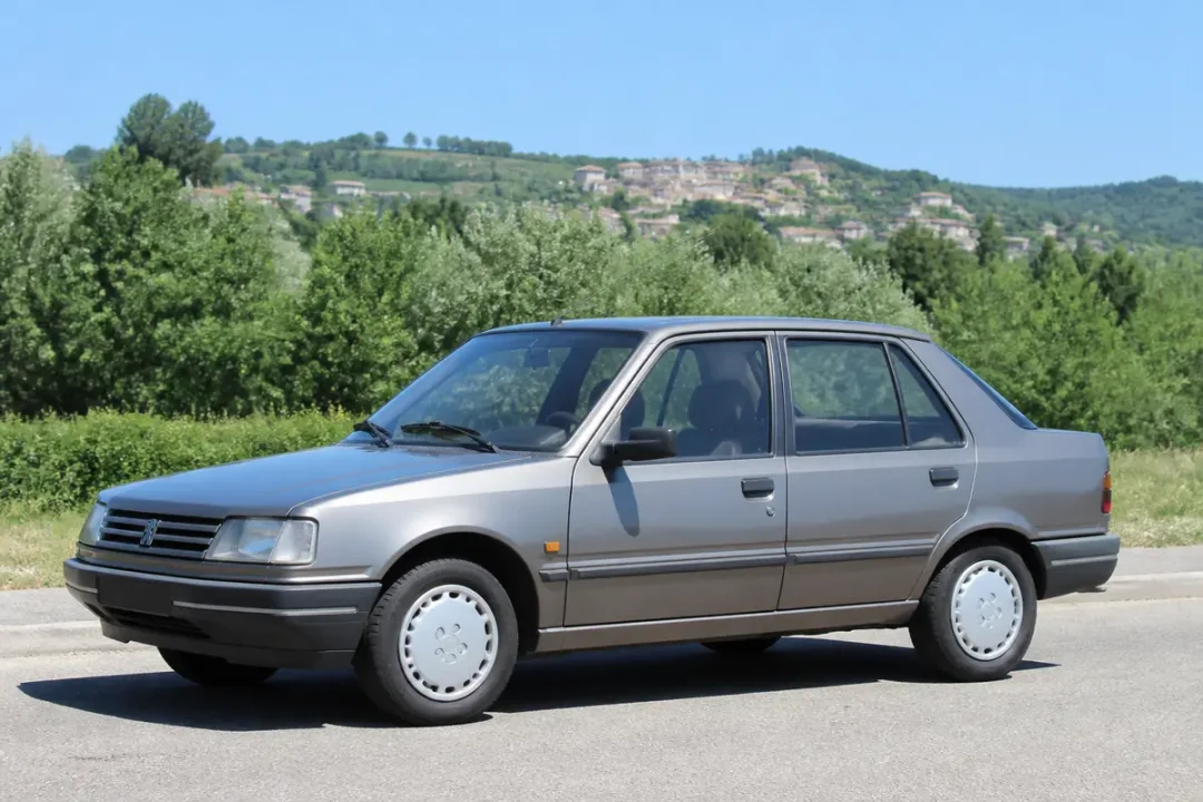 Voiture classique grise Peugeot 309 garée devant paysage verdoyant en arrière-plan