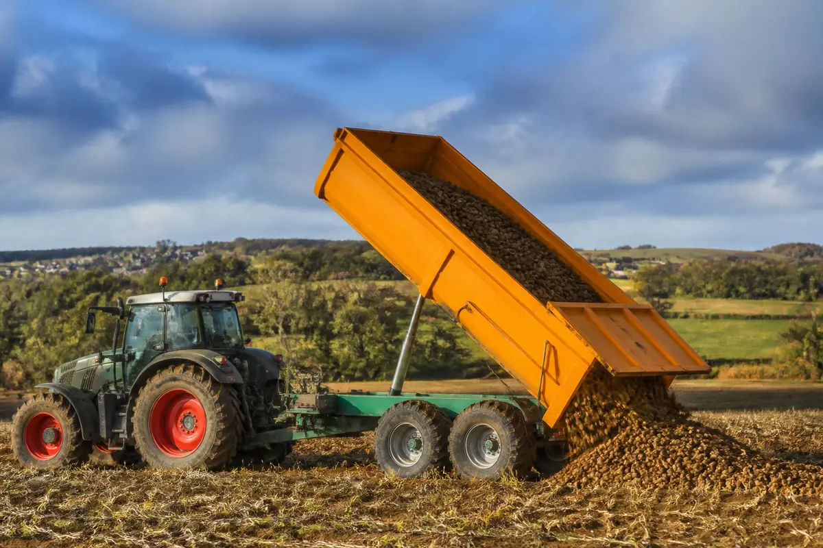 Tracteur déchargeant des pommes de terre dans une remorque pour tracteur sur un champ.